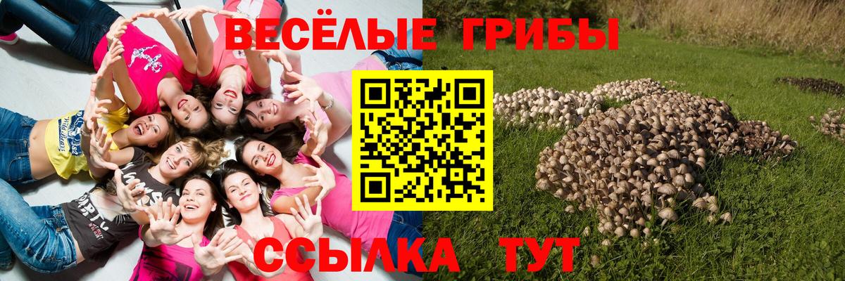 наркошоп  Галлюциногенные грибы Cubensis  Краснотурьинск  Вход с VPN  Псилоцибиновые грибы Psilocybe 