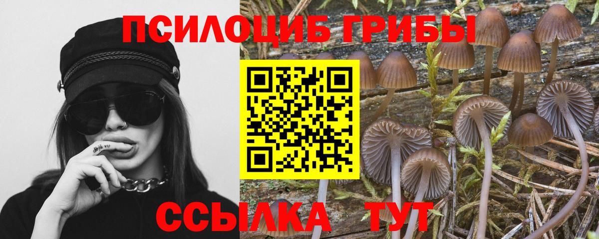 Псилоцибиновые грибы Magic Shrooms Краснотурьинск